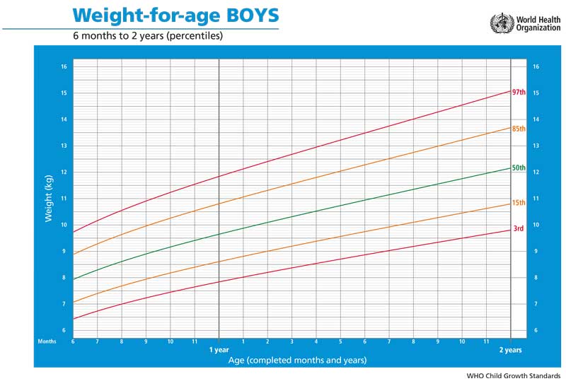 Vægtkurve dreng 6 måneder - 2 år