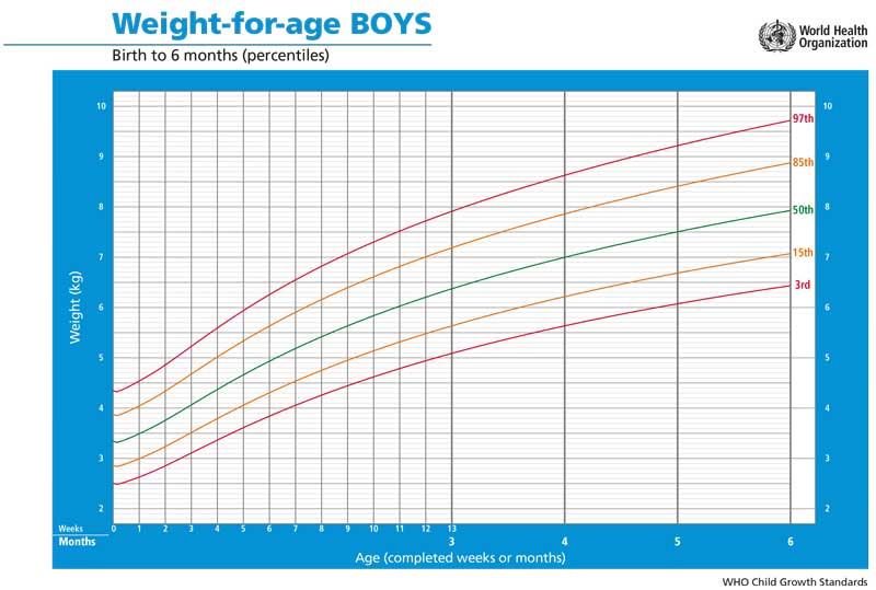 vægtkurve baby dreng 0 - 6 måneder
